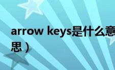 arrow keys是什么意思（汽车上keys什么意思）