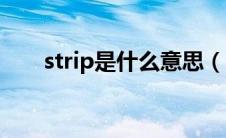 strip是什么意思（白骸︱strip简介）