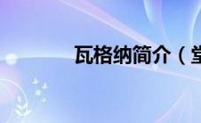 瓦格纳简介（堂本海斗简介）