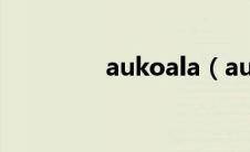 aukoala（aukoala简介）