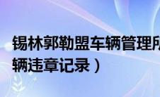 锡林郭勒盟车辆管理所（锡林郭勒盟怎样查车辆违章记录）