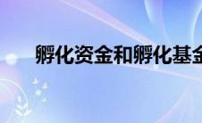 孵化资金和孵化基金（孵化基金简介）