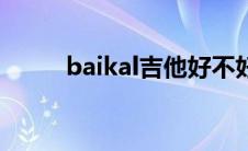 baikal吉他好不好（baikal简介）