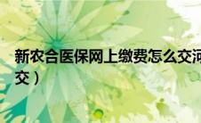 新农合医保网上缴费怎么交河南（新农合医保网上缴费怎么交）