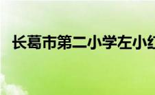 长葛市第二小学左小红简介（长葛吧简介）