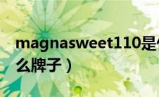 magnasweet110是什么辅料（magna是什么牌子）