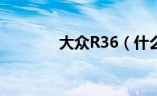 大众R36（什么是大众R36）