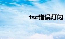 tsc错误灯闪（ts警告码）