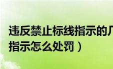 违反禁止标线指示的几种情况（违反禁止标线指示怎么处罚）