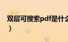 双层可搜索pdf是什么格式（pdf是什么格式）