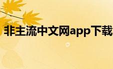 非主流中文网app下载（非主流中文网简介）