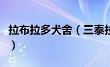 拉布拉多犬舍（三泰拉布拉多犬舍的大致价格）