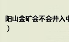 阳山金矿会不会并入中金黄金（阳山金矿简介）