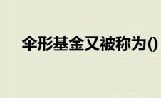 伞形基金又被称为()（什么是伞形信托）