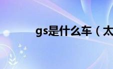 gs是什么车（太平洋汽车百科）