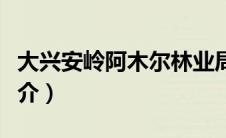 大兴安岭阿木尔林业局局长（阿木尔林业局简介）