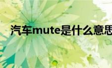 汽车mute是什么意思（太平洋汽车百科）