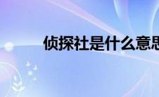 侦探社是什么意思（侦探社简介）