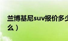 兰博基尼suv报价多少钱（兰博基尼suv叫什么）