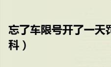 忘了车限号开了一天罚多少钱（太平洋汽车百科）