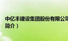 中亿丰建设集团股份有限公司（金山开发建设股份有限公司简介）