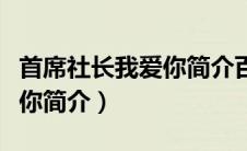 首席社长我爱你简介百度百科（首席社长我爱你简介）