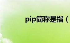 pip简称是指（Pimp C简介）