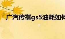 广汽传祺gs5油耗如何（太平洋汽车百科）