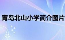 青岛北山小学简介图片（青岛北山小学简介）