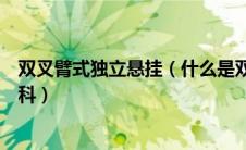 双叉臂式独立悬挂（什么是双叉臂式独立悬挂太平洋汽车百科）