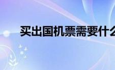 买出国机票需要什么手续（交通出行）