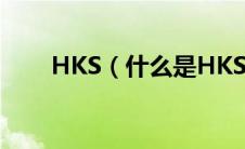 HKS（什么是HKS太平洋汽车百科）