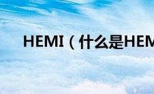 HEMI（什么是HEMI太平洋汽车百科）