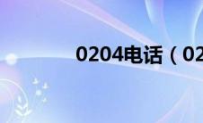 0204电话（0204电话录音）