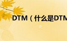 DTM（什么是DTM太平洋汽车百科）