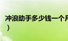 冲浪助手多少钱一个月（冲浪助手是什么业务）