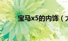 宝马x5的内饰（太平洋汽车百科）