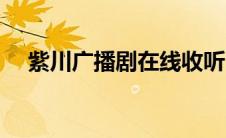 紫川广播剧在线收听（紫川广播剧简介）