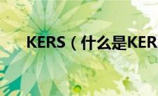 KERS（什么是KERS太平洋汽车百科）