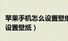 苹果手机怎么设置壁纸和锁屏（苹果手机怎么设置壁纸）