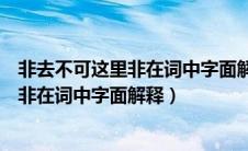 非去不可这里非在词中字面解释是不的意思（非去不可这里非在词中字面解释）