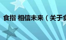 食指 相信未来（关于食指 相信未来的介绍）