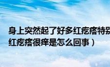 身上突然起了好多红疙瘩特别痒怎么办（身上突然起了很多红疙瘩很痒是怎么回事）