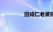 田成仁老婆照片(田成仁)