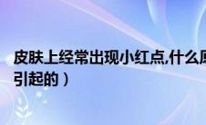 皮肤上经常出现小红点,什么原因（皮肤上小红点是什么原因引起的）