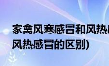 家禽风寒感冒和风热感冒的区别(风寒感冒和风热感冒的区别)