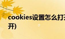 cookies设置怎么打开(cookies设置怎么打开)