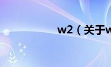 w2（关于w2的介绍）