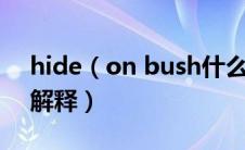 hide（on bush什么梗 hide on bush的梗解释）