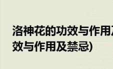 洛神花的功效与作用及食用方法(洛神花的功效与作用及禁忌)